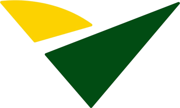 VF Empreendimentos